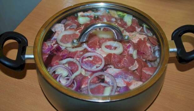 Самые изысканные маринады для шашлыка: 10 вкусных рецептов мяса для пикника