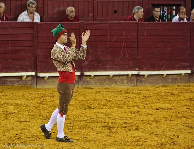 14 любопытных фактов о португальской корриде corrida05 14 любопытных фактов о португальской корриде