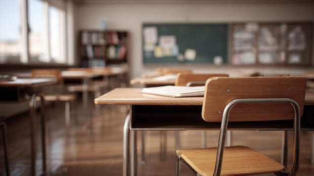 Шестиклассника задержали за подготовку теракта в сочинской школе