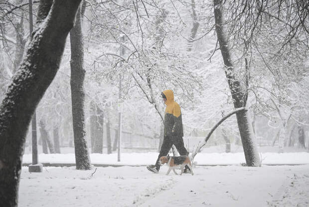 В Москве пройден пик снегопада