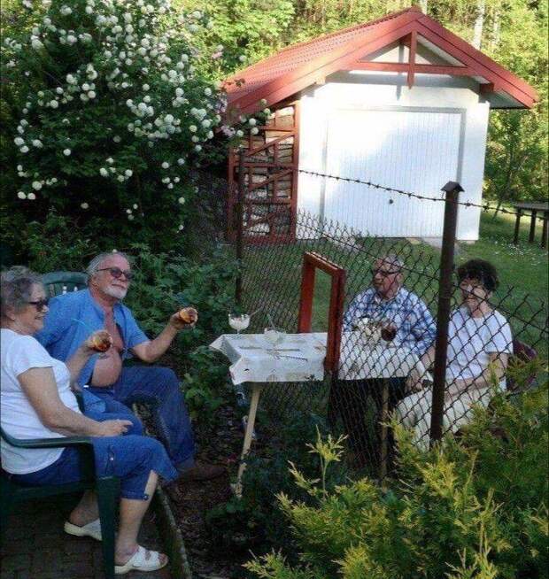 Подборка прикольных картинок
