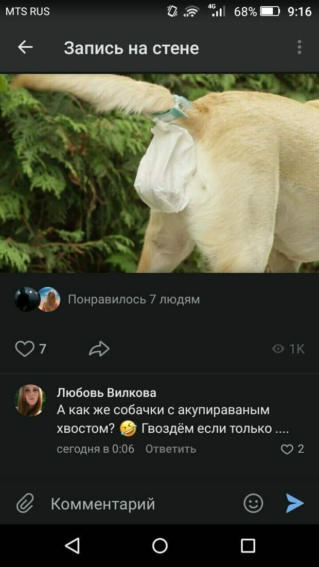 Учись пока меня не забанили, или как правильно писать по грамотейски Учись пока меня не забанили, или как правильно писать по грамотейски галинастоп, грамотеи, куртка бейна, смешно, что делается, юмор