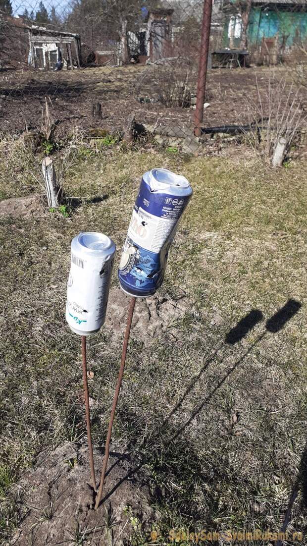 Что делать с кротами на огороде