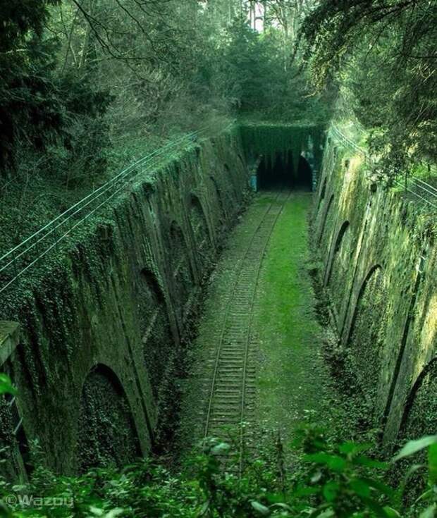 Линия Petite Ceinture, Париж. Это старая 32-километровая двухпутная железнодорожная линия которая проходила вокруг Парижа. Открытая к 1852 году линия с 1990 почти полностью заброшена. интересное, красота, тоннели, удивительное, факты