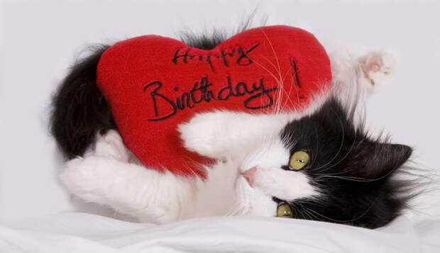 3059790_happybirthdaybf081b73e7cc4fb191b016ebac859a13 (700x403, 185Kb)