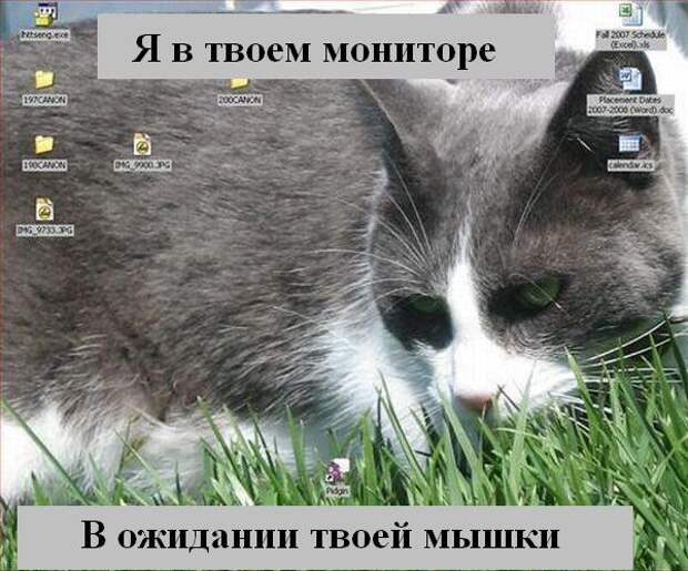 Мысли2 :) (50мыслей)