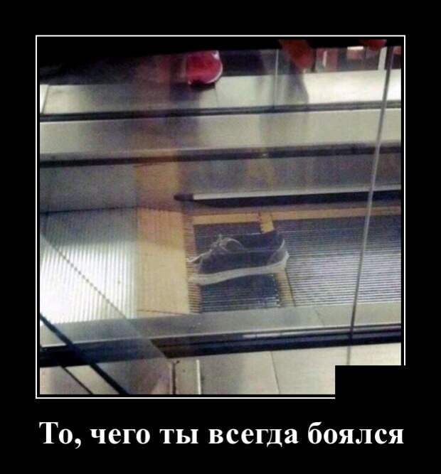 Демотиваторы (30 фото)