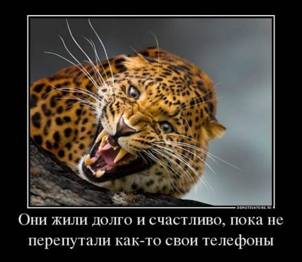 Весёленькие демотиваторы для хорошего настроения
