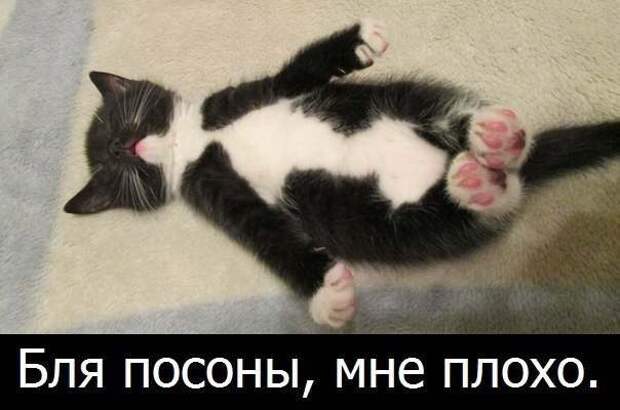 Всяко - разно 6  )))