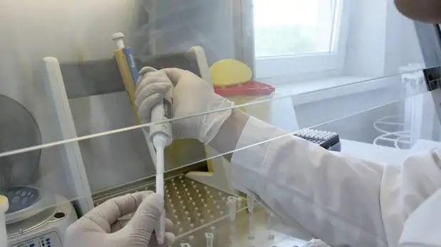 Профессор прокомментировал выявление птичьего гриппа в России