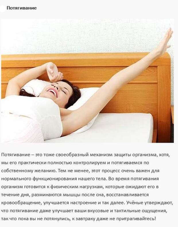 6ea0b526e831006241950d860e50c668 (548x700, 66Kb)