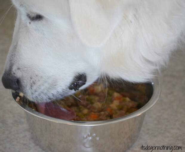 Mauja says, "Yum!"