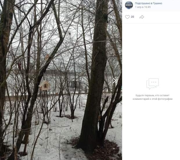 В парке «Северное Тушино» жители повесили кормушки