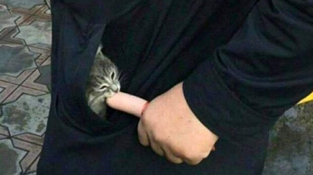 источник фото: meme-arsenal.com