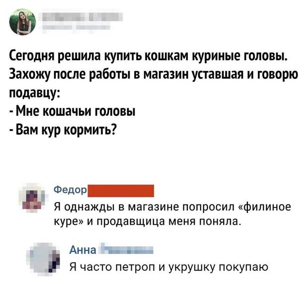 Кошачьи  головы