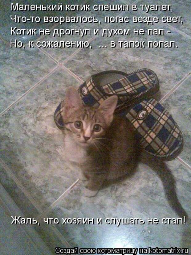 Новые крутые котоматрицы первой недели октября (50 фото) Новые крутые котоматрицы первой недели октября (50 фото)