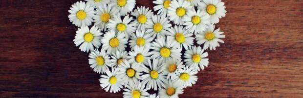 Сразу и на всю жизнь? Сколько раз можно полюбить по-настоящему, подсчитали исследователи