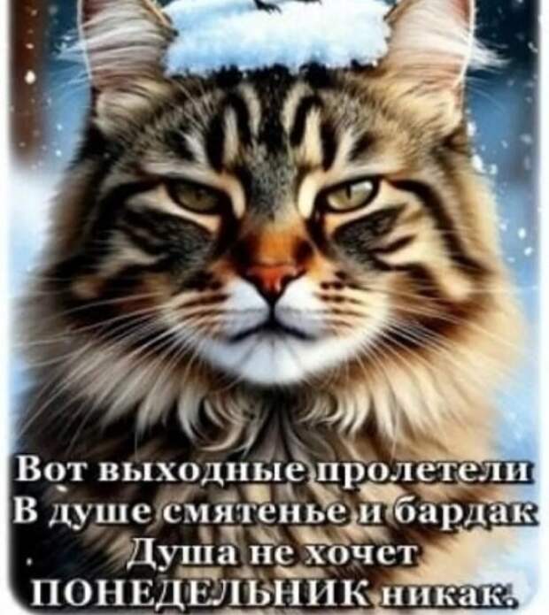 Пенсия наша полосатая...