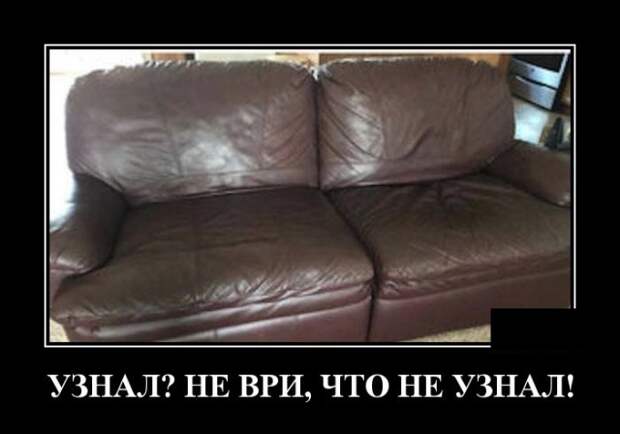 Демотиваторы (30 фото)