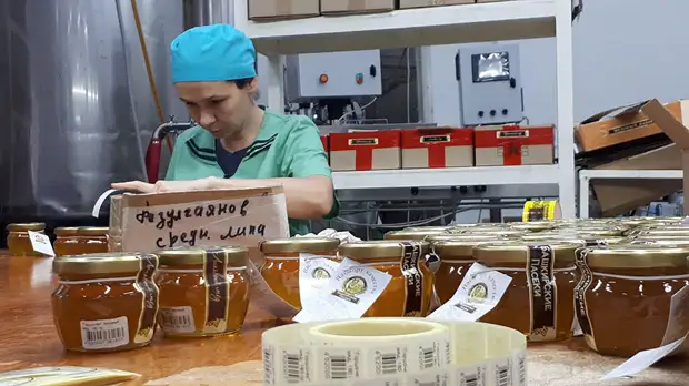 «Все рабочие пчёлы погибли ещё в июне»: из-за производства рапса для Европы в России начались проблемы с мёдом