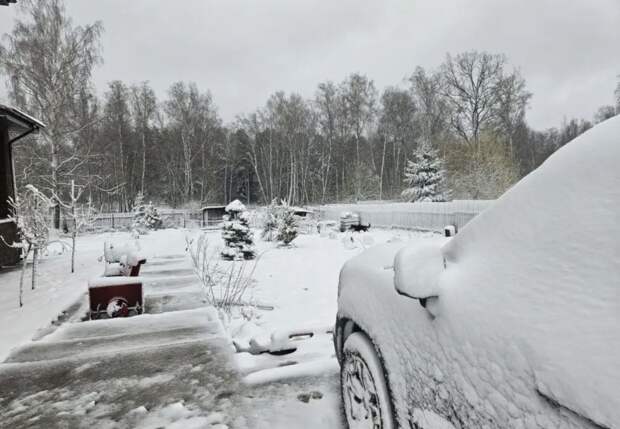 Тульскую область засыпало снегом