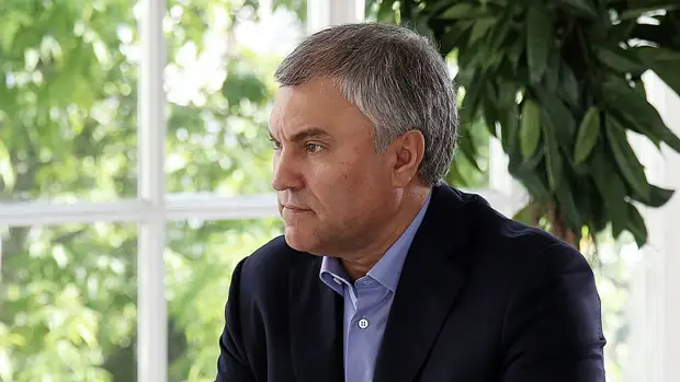 Володин предложил конфисковать в России бизнес недружественных стран