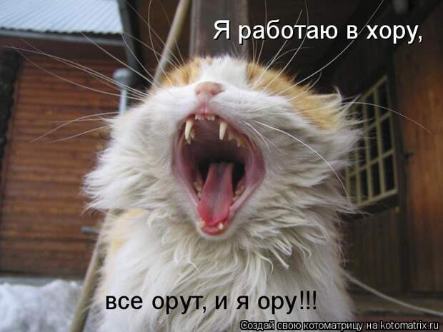 Я работаю в хору, все орут, и я ору!!!