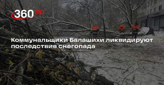 Коммунальщики Балашихи ликвидируют последствия снегопада