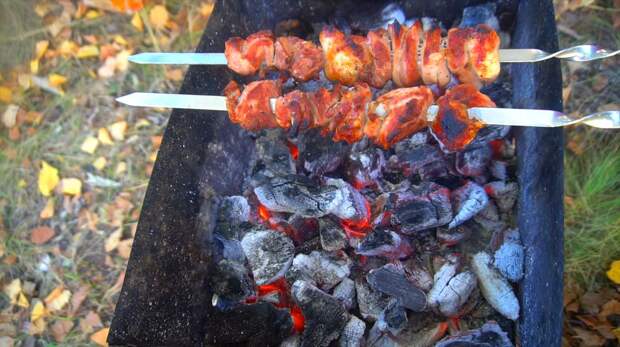 Единственно правильный уголь для шашлыка