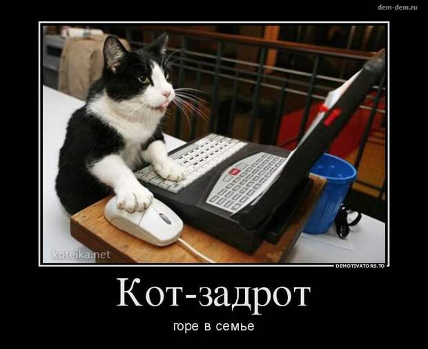 Свежие демотиваторы дня от 08-07-2014