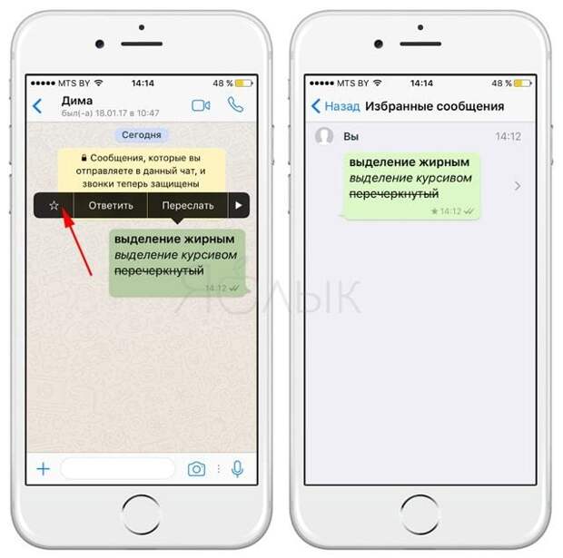 10 полезных опций WhatsApp, которые следует знать каждому