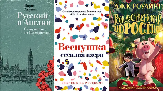 Самоучитель от Акунина, роман Ахерн и новая Роулинг: главные книги октября
