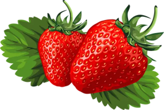 �������� ��������� ��������� �����. ����� 4. ������� ����������.