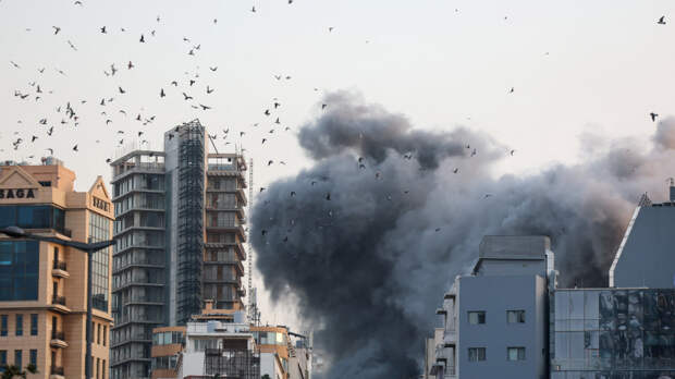 Популяция российских перелетных птиц оказалась под угрозой из-за войны в Иране