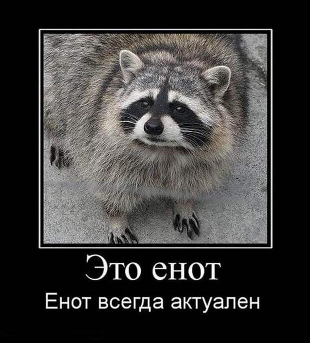 Демотиваторов пост: «Когда бюджет ограничен, а праздника хочется…» (15 фото)
