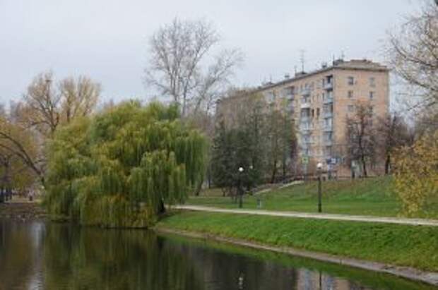 Проверку отселенных зданий организуют в районе. Фото: Анна Быкова