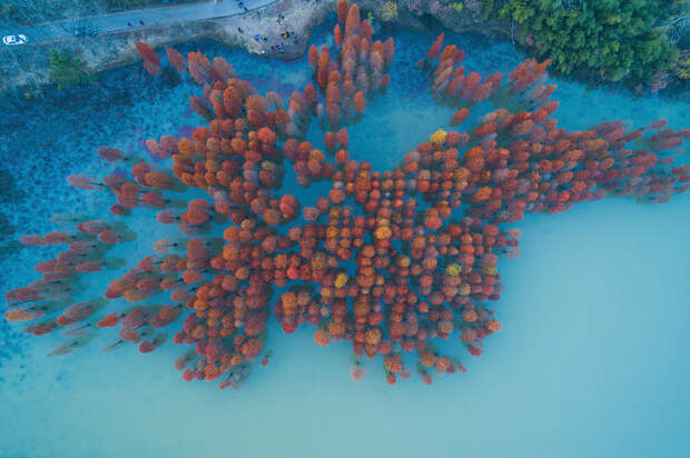 Осень на озере в Нанкине, Китай