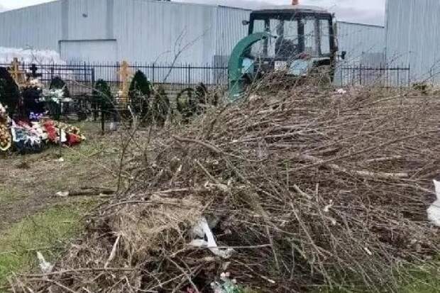 В Тамбовском округе определили места для складирования древесно-растительных отходов