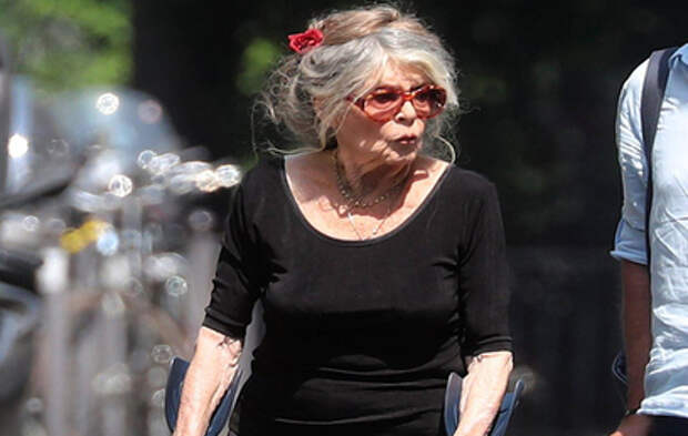 Устала от постоянной боли: названа причина смерти Брижит Бардо