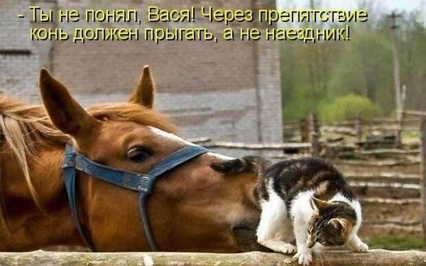 Стать хорошим наездником способен не каждый!