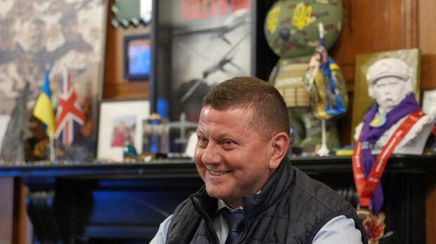 Залужный обвинил Зеленского в провале контрнаступления в 2023 году