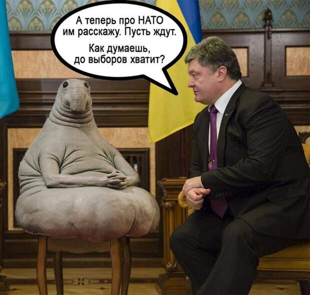 Ждун и Порошенко
