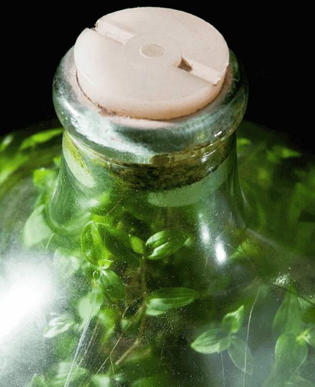 2 2