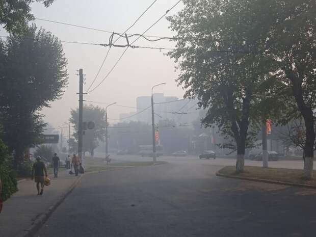В Самаре специалисты подтвердили экстремальное загрязнение Волгаря сероводородом