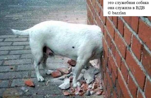 Он был практически здоров, пока не признался врачу, что миллионер