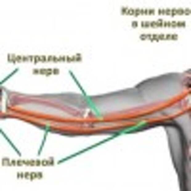 Почему ночью происходит онемение рук и что с этим делать