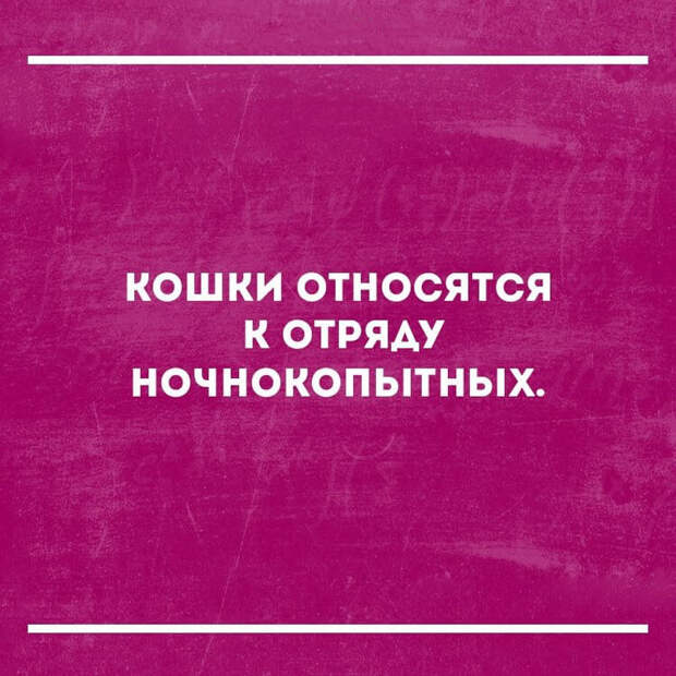 Подборка уморительных анекдотов