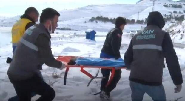 Несчастная собака находилась в ледяной воде и уже не ждала никакого спасения
