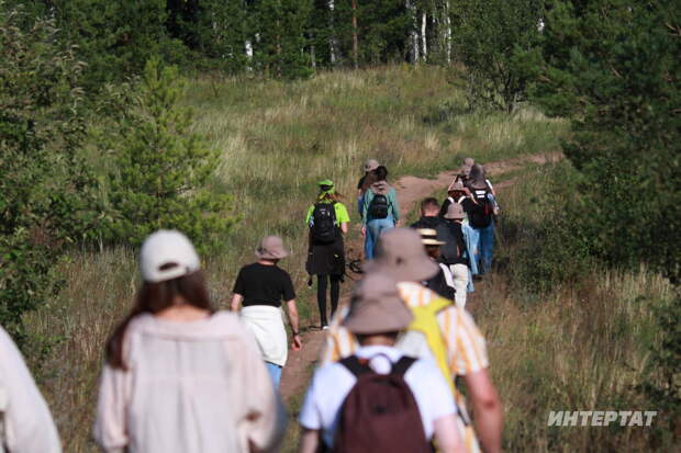 Урманга барыр алдыннан телефонга нинди кушымталар урнаштырырга кирәк?