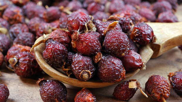 В чём польза и вред шиповника и как правильно его принимать